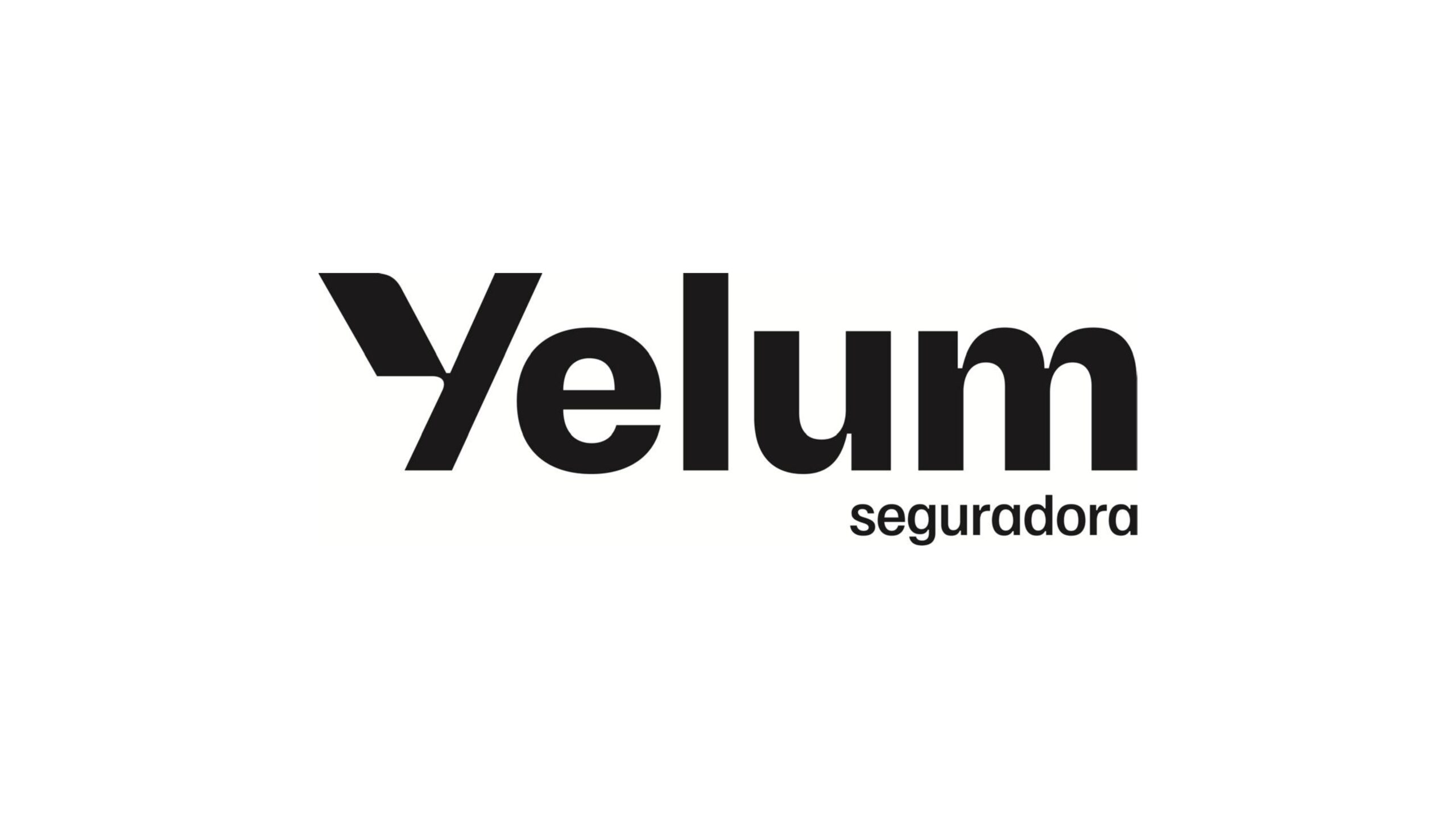 yelum logo_page-0001